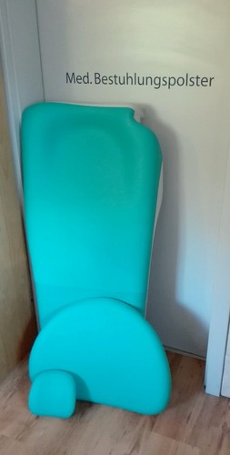 Castellini thesi - castellini,