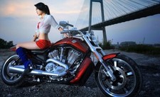 Harley-Davidson Girl Bild Foto