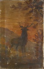 M.FUSS Hirsch Wald Rotwild