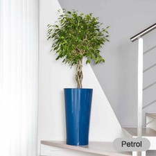 XXL Blumentöpfe mit