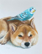 Hund und Papagei Original Pastell Malerei, Hundeportrait Gemälde, 20x25 cm