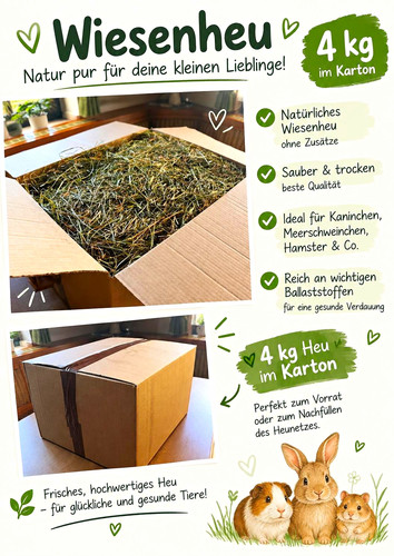 Wiesenheu karton - 4, im
