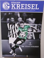 FC Schalke 04 gegen Steaua Bukarest Programm Champions League Kreisel 18.09.2013