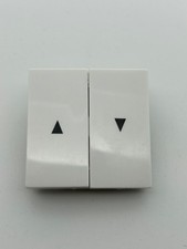 Gira System 55 0294 03 Doppel