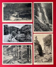 5 x AK Thüringer Wald 1912