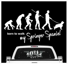 Springer Spaniel English