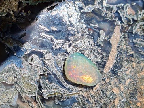 Topfarben welo opal - topfarben:,