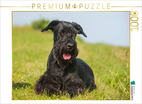 Calvendo puzzle - calvendo,