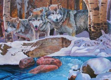Winter Wolves 1000 Piece