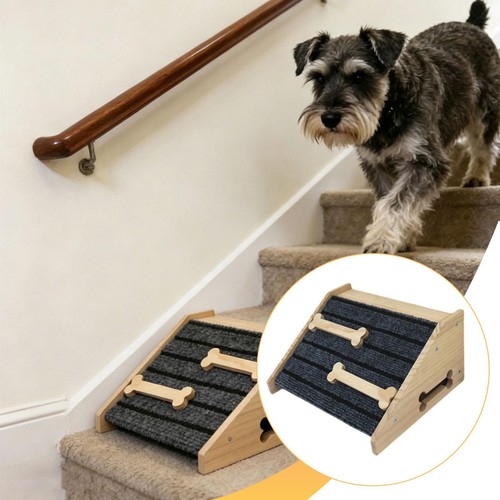 Hunderampe aus für treppen - für,