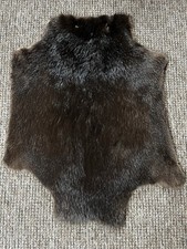 Wilde natürliche Biberfell |