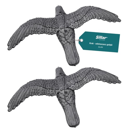 Großer rabe flug - rabe,