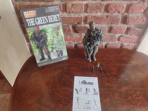 Green baret soldier rogue - baret,
