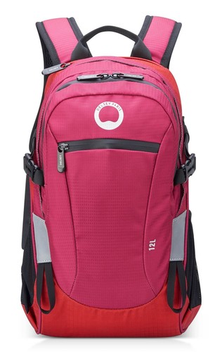 Delsey paris nomade backpack - paris,