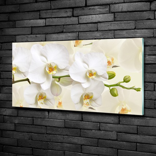 Wandbild glas bild - wandbild, glas-bild