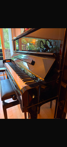 Schimmel k125 tradition - k125,