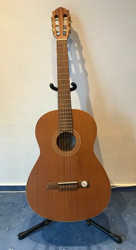 Gitarre höfner hz23 - mit, ganz