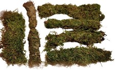 7er Set kleine Moos Rinden