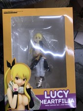 Lucy Heartfilia Natsu Costume