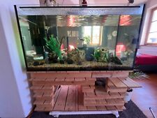 aquarium komplett mit