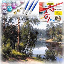 Malen nach Zahlen für Erwachsene Leinwandbild mit Rahmen kreatives Geschenk