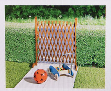 Sicherheitswand Vario Du bleibst drin, du bleibst draußen Rankhilfe für Rosen