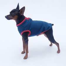 Haustier warm hund - warm,