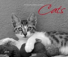 Cats 2014 photoart - cats, 2014.