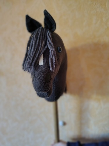 Hobby horse steckenpferd - hobby,