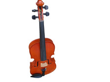 Student Violen with Hard