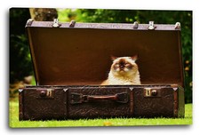 Wandbild Katze im Koffer