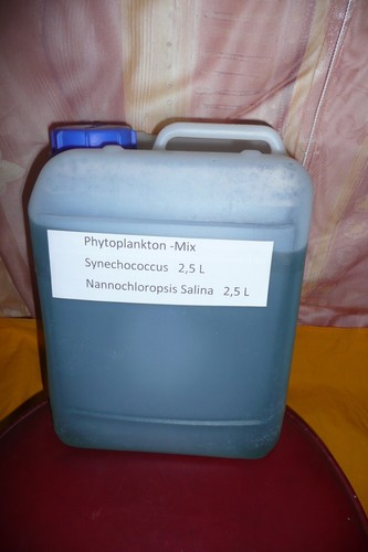 Phytoplankton mix - 5, l