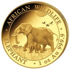 1 oz 1000 Schilling Goldmünze Somalia Elefant 2022 BU
