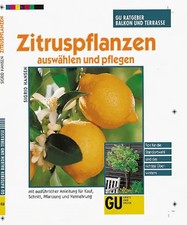 Zitruspflanzen auswählen und