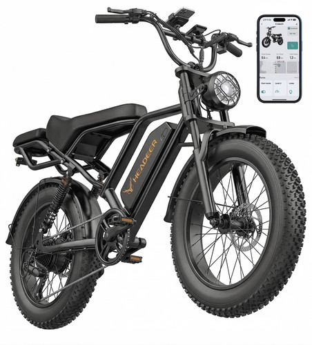 Bike fatbike pedelec - e-bike, 20"