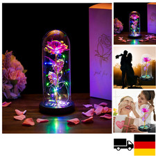 Glasseam Die Schöne Und Das