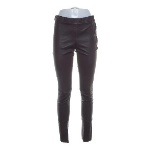 Arma collection lederhose - collection,,