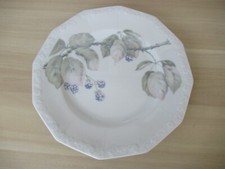 1 Kuchenteller Frühstücksteller  21,3 cm Rosenthal Brombeere  2. Wahl  sehr gut