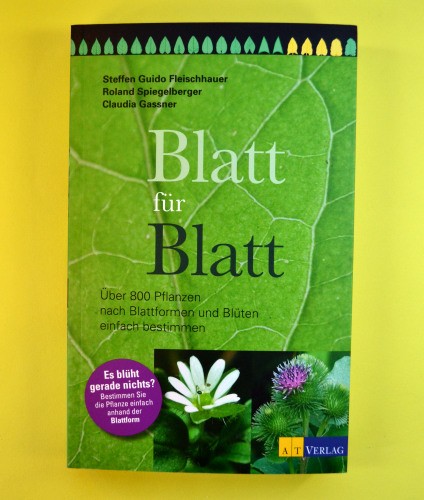 Blatt für über 800 - blatt,