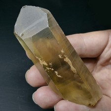 Teefarbiger Lemuria Citin