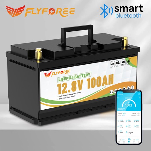 12v 100ah lithium batterie - 12v,