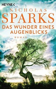 Das wunder eines augenblicks - das,