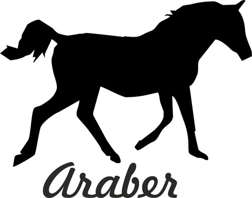 Auto aufkleber araber - x,