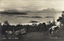 Ak Narvik Norwegen - 4902335