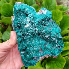 💎Video🌈Top XL Kabinettstufe 1,1KG Dioptas mit XX bis 2,5cm Mindouli Kongo