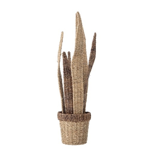 Deko blume natur aus bankuan - deko,