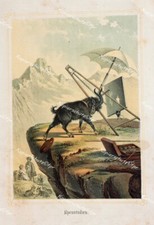 Painter Tourist Artist Easel