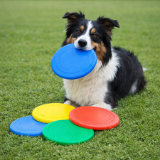 Frisbee naturgummi wurfscheibe - frisbee,