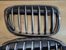 BMW X1 F48 Grill Ziergitter