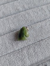 Nephrit jade pferd anhänger - nephrit,